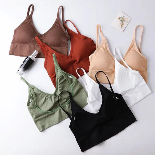 Bras & Bralettes