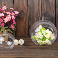 12pcs Hanging Glass Terrarium Globe Air Garden