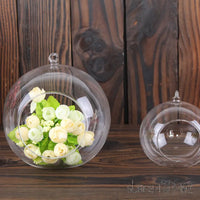 12pcs Hanging Glass Terrarium Globe Air Garden