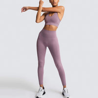 2 Piece Sports Set Gym Wear Leggings with Bra Ribbed Seamless Workout Yoga Set