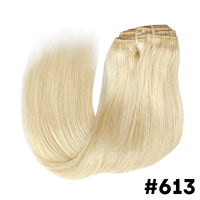 Clip in Extensions Human Remy Hair (Lots of colors and lengths)