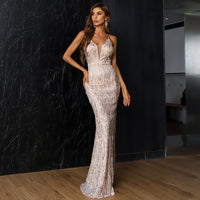 Iris Contras Mesh Plunge Gown