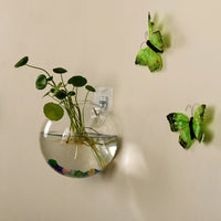 Transparent Glass Hanging Hydroponic Vases