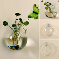 Transparent Glass Hanging Hydroponic Vases